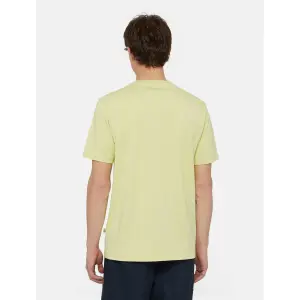T-shirt Dickies Mapleton image-4