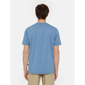 product/d/i/dickies_dk0a4xdbh171_3.jpg