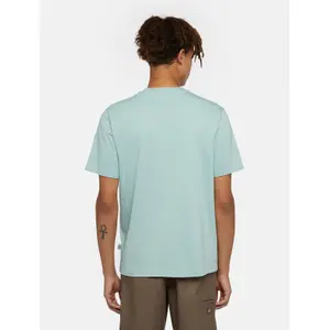 T-shirt Dickies Mapleton image-4