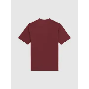 T-Shirt Dickies Mapleton image-2
