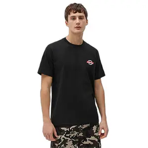 kratký rukáv tričko Dickies Ruston image-0