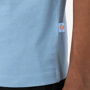 kratký rukáv tričko Dickies Ruston image-4