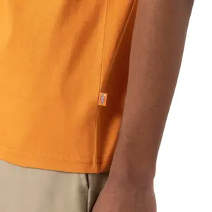 Rövidujjú póló Dickies Ruston image-3