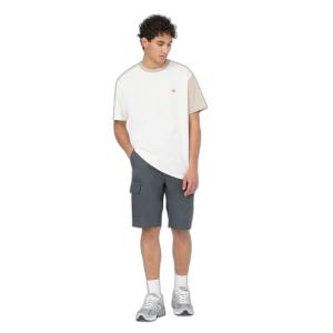 Shorts Dickies Millerville image-2