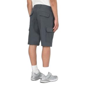 Shorts Dickies Millerville image-5