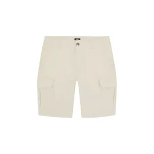 dk0a4xedf901-short-dickies-millerville-whitecap-gray