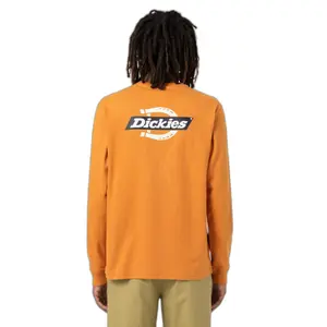 Tričko s dlouhými rukávy Dickies Ruston image-1