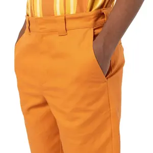 Krátký Dickies Cobden image-3