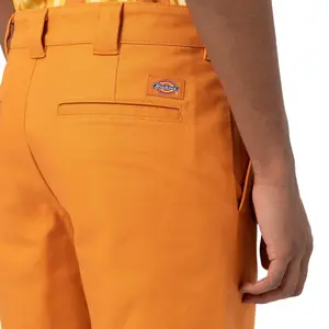 Krátký Dickies Cobden image-4