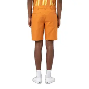 Krátký Dickies Cobden image-2