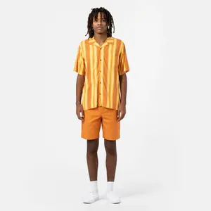 Krátký Dickies Cobden image-1