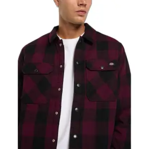 Shirt met lange mouwen Dickies Sacramento image-0