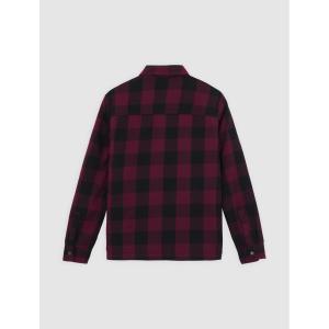 Shirt met lange mouwen Dickies Sacramento image-3