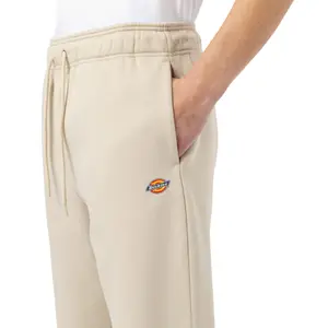 Tepláky Dickies Mapleton image-3