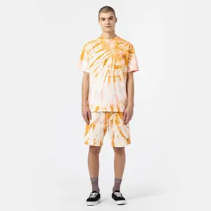 Shorts Dickies image-3