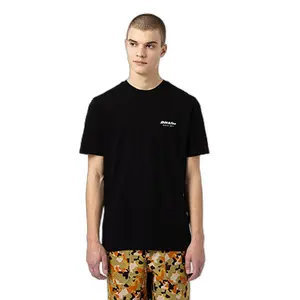 Rövidujjú póló Dickies Artondale Box image-0