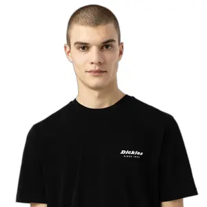 Rövidujjú póló Dickies Artondale Box image-3