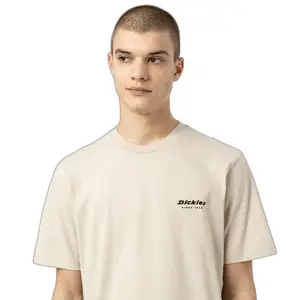 T-shirt manches courtes Dickies Artondale Box image-3