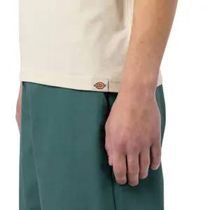 T-shirt manches courtes Dickies Artondale Box image-4