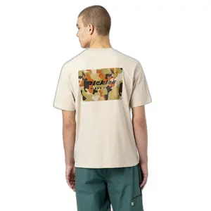 T-shirt manches courtes Dickies Artondale Box image-2