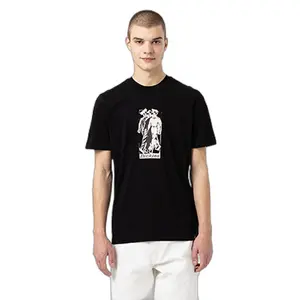 kratký rukáv tričko Dickies Fircrest image-0