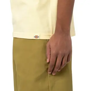 kratký rukáv tričko Dickies Fircrest image-4