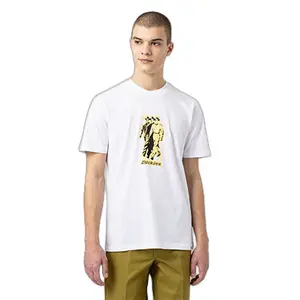 kratký rukáv tričko Dickies Fircrest image-0