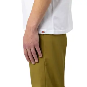 kratký rukáv tričko Dickies Fircrest image-4
