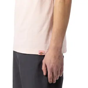 Tričko Dickies 100 Logo image-3