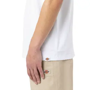 Tričko Dickies 100 Logo image-4