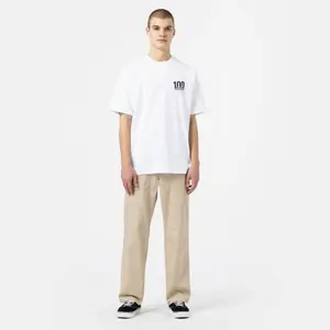 Tričko Dickies 100 Logo image-1