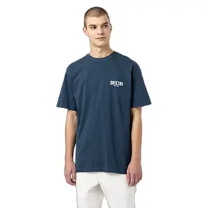 kratký rukáv tričko Dickies Kelso image-0
