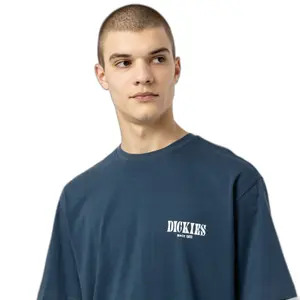 kratký rukáv tričko Dickies Kelso image-3