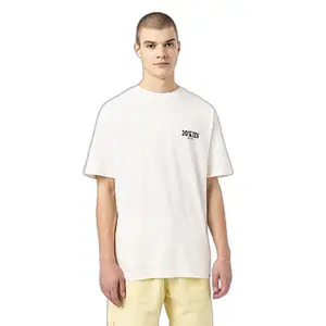 kratký rukáv tričko Dickies Kelso image-0