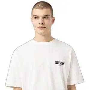 kratký rukáv tričko Dickies Kelso image-3