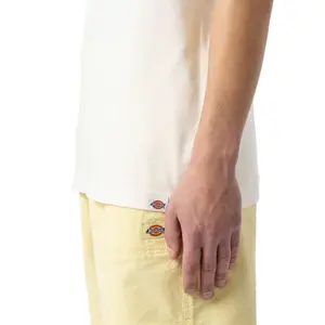 kratký rukáv tričko Dickies Kelso image-4