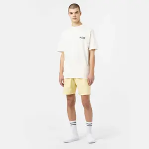 kratký rukáv tričko Dickies Kelso image-1