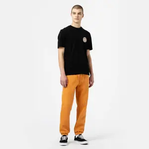 kratký rukáv tričko Dickies Woodinville image-1