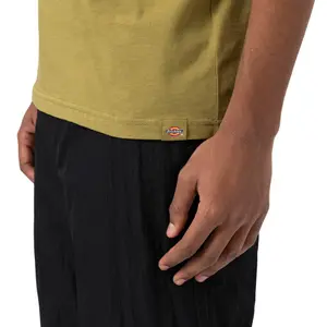 Rövidujjú póló Dickies Woodinville image-4