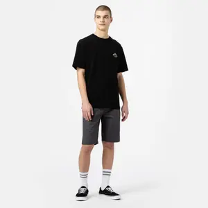 kratký rukáv tričko Dickies Fort Lewis image-1