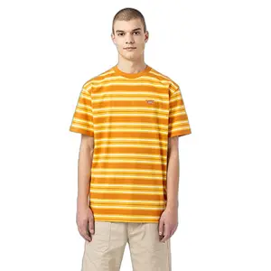 kratký rukáv tričko Dickies Lynnwood image-0