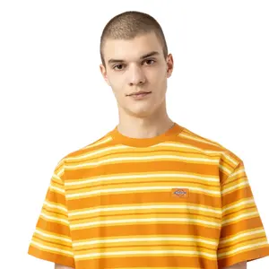 kratký rukáv tričko Dickies Lynnwood image-3