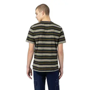 kratký rukáv tričko Dickies Bothell Stripe image-2