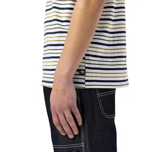 kratký rukáv tričko Dickies Bothell Stripe image-3