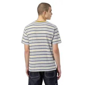 kratký rukáv tričko Dickies Bothell Stripe image-2
