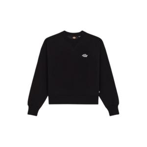 product/d/i/dickies_dk0a4xyxblk1_noir_1.jpg