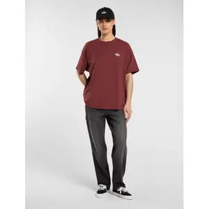 T-Shirt Dickies Summerdale image-1