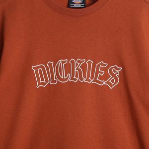 T-shirt Dickies Union Springs image-2