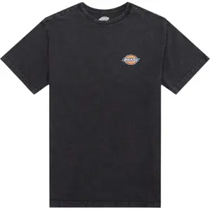T-shirt Dickies Icon Washed image-0