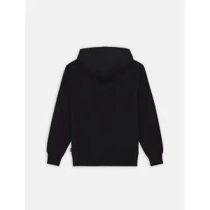 Sudadera con capucha Dickies Summerdale image-2